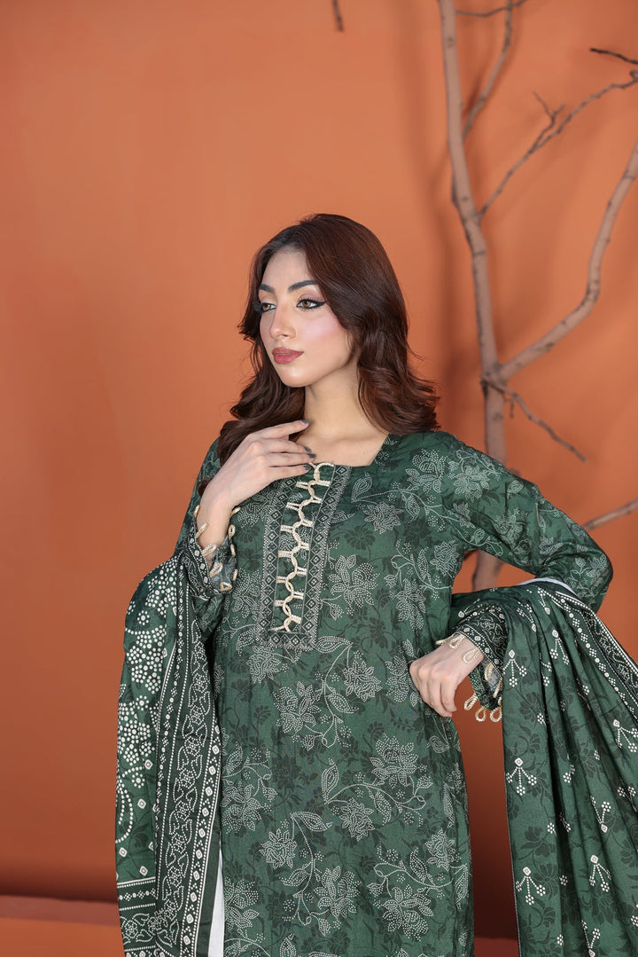 Bin Naeem Linen D-6 Lamisah