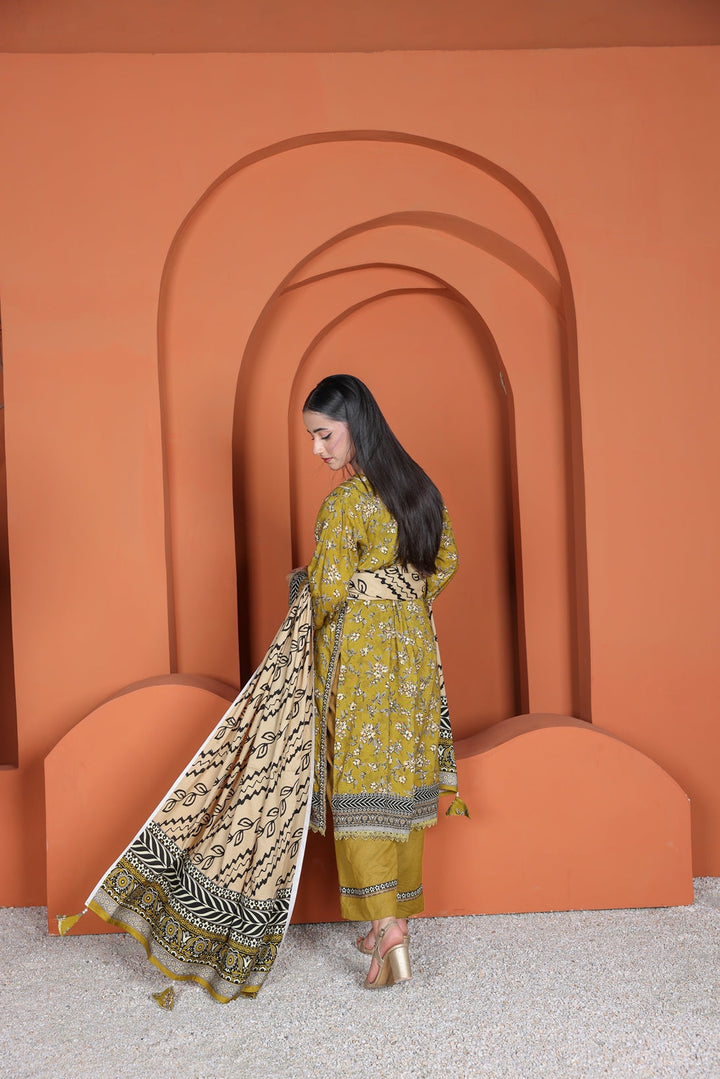 Bin Naeem Linen D-9 Lamisah
