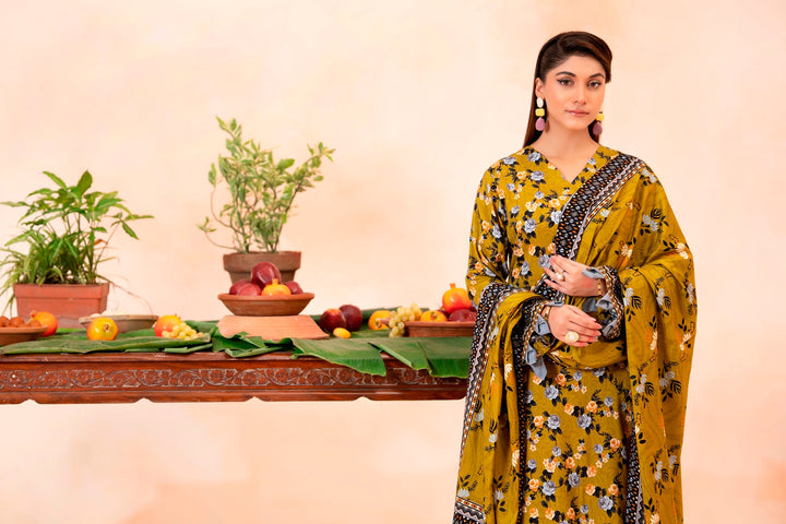 Bin Naeem Linen D-11 Lamisah