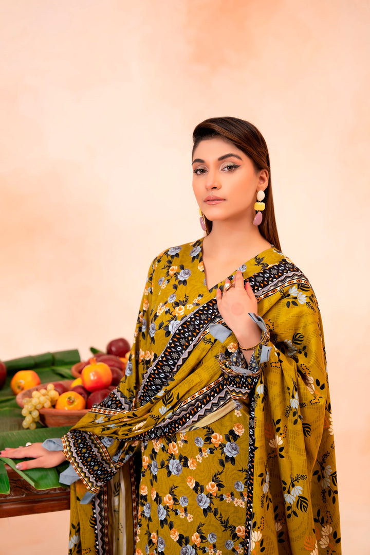 Bin Naeem Linen D-11 Lamisah